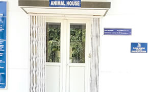 Pharmacology Lab